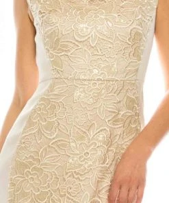 Adrianna Papell - AP1E200762 Embroidered Column Dress