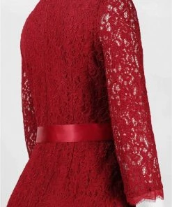 Cocktail Dresses Adrianna Papell - Quarter Length Sleeves Lace Short Dress 41910400