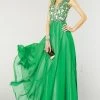 Alyce Paris - 6418 Sleeveless Applique Plunging Gown In Emerald/ Nude Formal Gowns 2 Alyce Paris - 6418 Sleeveless Applique Plunging Gown In Emerald/ Nude Formal Gowns