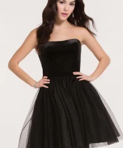 Alyce Paris - Ballet - 2634 Velvet/Tulle A-line Dress