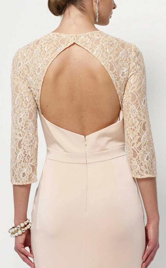 Alyce Paris Long Lace Sleeved Cutout Back Sheath Gown 27156 - 1 Pc Rosewater In Size 14 Available 7 Alyce Paris Long Lace Sleeved Cutout Back Sheath Gown 27156 - 1 Pc Rosewater In Size 14 Available