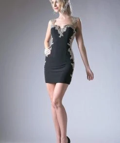 Cinderella Divine - 8988-1 Short Lace Appliqued Sheath Dress