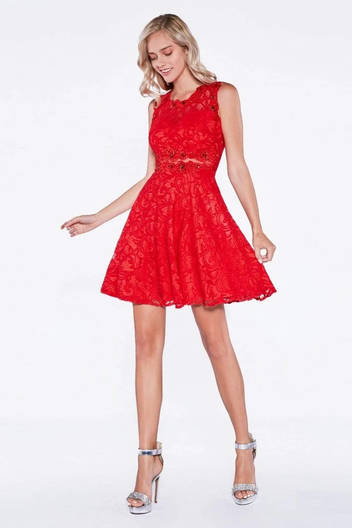 Cinderella Divine - CF175 Jewel Neck Illusion Paneled A-Line Dress Cocktail Dresses 3 Cinderella Divine - CF175 Jewel Neck Illusion Paneled A-Line Dress Cocktail Dresses