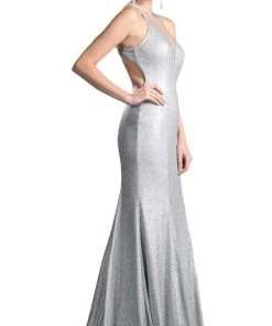 Cinderella Divine - Illusion Jewel Neck Shimmer Fabric Fitted Dress Formal Gowns