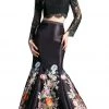 Cinderella Divine - Long Sleeve Two-Piece Floral Evening Gown