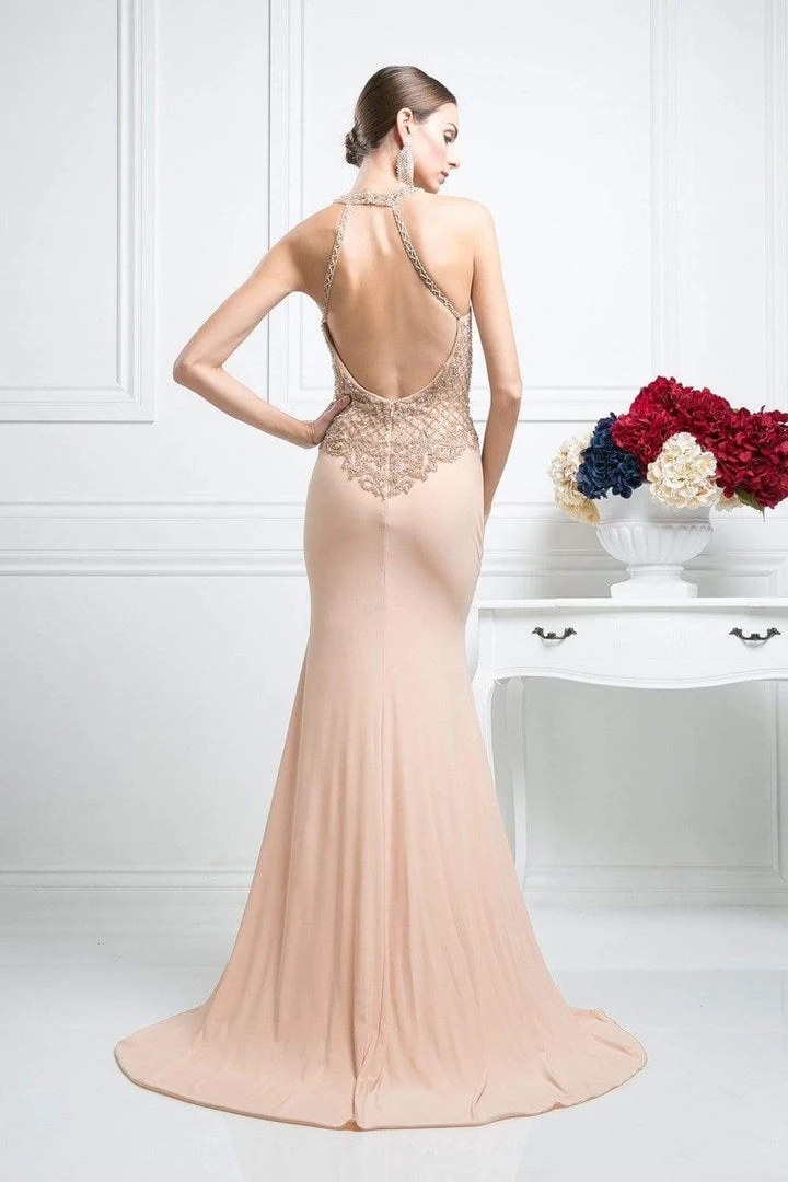 Formal Gowns Cinderella Divine - Sleeveless Beaded Halter Neck Sheath Dress 4 Formal Gowns Cinderella Divine - Sleeveless Beaded Halter Neck Sheath Dress