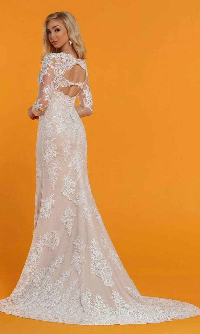 Da Vinci - Sheer Long Sleeve Lace Bridal Dress 50516 - 1 Pc Ivory/Nude In Size 12 Available Formal Gowns 4 Da Vinci - Sheer Long Sleeve Lace Bridal Dress 50516 - 1 Pc Ivory/Nude In Size 12 Available Formal Gowns