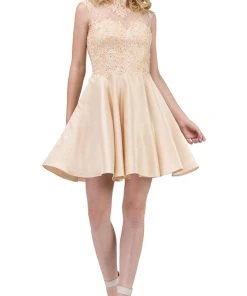 Cocktail Dresses Dancing Queen - 3069 Appliqued Illusion High Neck Homecoming Dress 14 Cocktail Dresses Dancing Queen - 3069 Appliqued Illusion High Neck Homecoming Dress