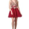 Dancing Queen - 3150 Appliqued Lace Bodice Tulle Dress Cocktail Dresses