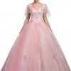 Dancing Queen - Sheer Butterfly Sleeve Embellished Quinceanera Ballgown 1203 - 1 Pc Blush In Size S Available
