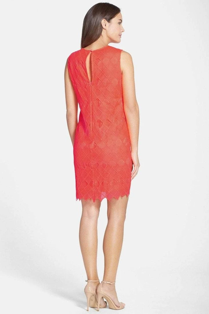 Donna Morgan - D3050M Vibrant Lace Sheath Dress 4 Donna Morgan - D3050M Vibrant Lace Sheath Dress