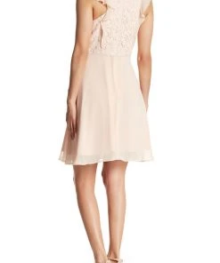 Cocktail Dresses Nanette Nanette Lepore - NN8S19FG3 Floral Lace Jewel A-line Dress