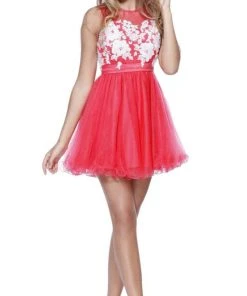 Nox Anabel - 6040 Embroidered Illusion Neck Dress