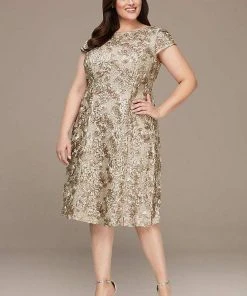 Alex Evenings - 4121570 Lace Cap Sleeves Plus Size Knee Length Dress 18 Alex Evenings - 4121570 Lace Cap Sleeves Plus Size Knee Length Dress