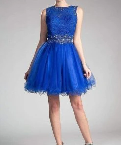 Cinderella Divine - CD0117 Sleeveless Lace Bodice Tulle A-Line Cocktail Dress