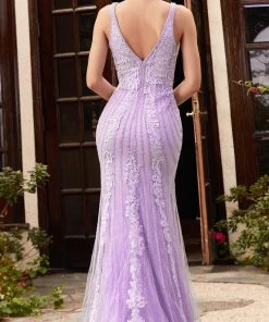 Cinderella Divine CD981 - Embroidered Evening Gown