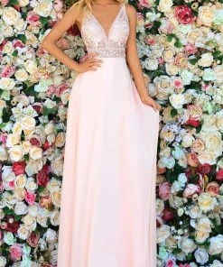 Clarisse - 810147 Sheer Lace A-Line Gown