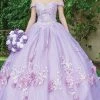 Dancing Queen - 1598 Floral Accented Ballgown 1 Dancing Queen - 1598 Floral Accented Ballgown