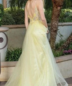 Dancing Queen 4276 - Floral Sleeveless Long Dress