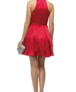 Dancing Queen - 9495 Embellished Collar Two-Piece Homecoming Dress
