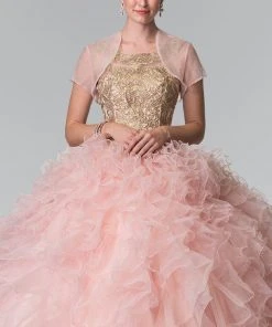 Elizabeth K - GL2208 Embellished Jewel Neck Ballgown