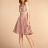 Elizabeth K - GS1619 Sleeveless Embroidered Vneck Chiffon A-line Dress