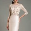 Feriani Couture - Quarter Sleeve Illusion Lace Appliqued Dress 18503 - 1 Pc Silver In Size 10 Available