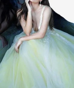 Jovani 55634 Sheer Floral Appliques V-Neck Ballgown 39 Jovani 55634 Sheer Floral Appliques V-Neck Ballgown