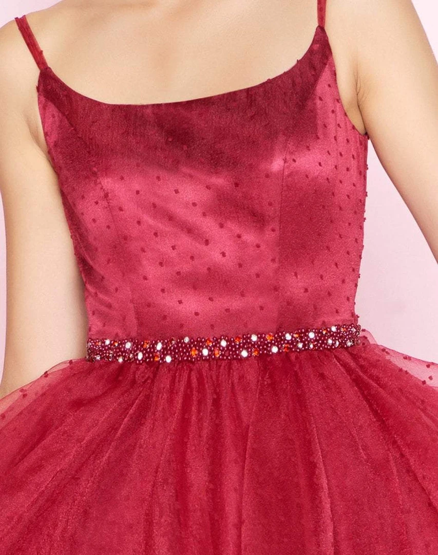 Mac Duggal - 67637N Sleeveless Scoop Tulle Polka Dot A-line Dress 5 Mac Duggal - 67637N Sleeveless Scoop Tulle Polka Dot A-line Dress