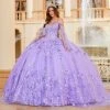 Princesa By Ariana Vara PR12261 - Butterfly Ballgown